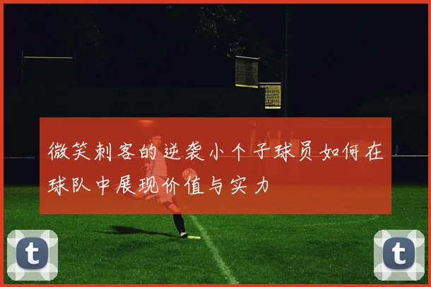 微笑刺客的逆袭小个子球员如何在球队中展现价值与实力
